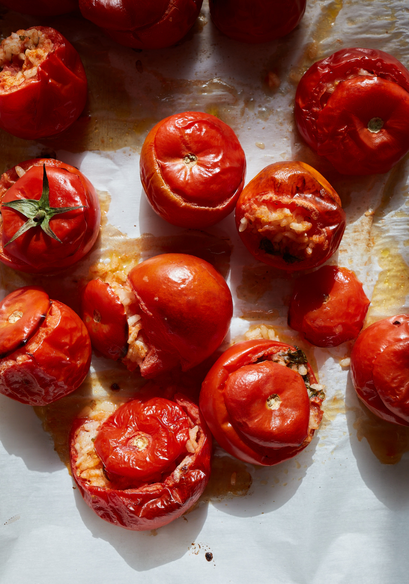 Stuffed Toms 003